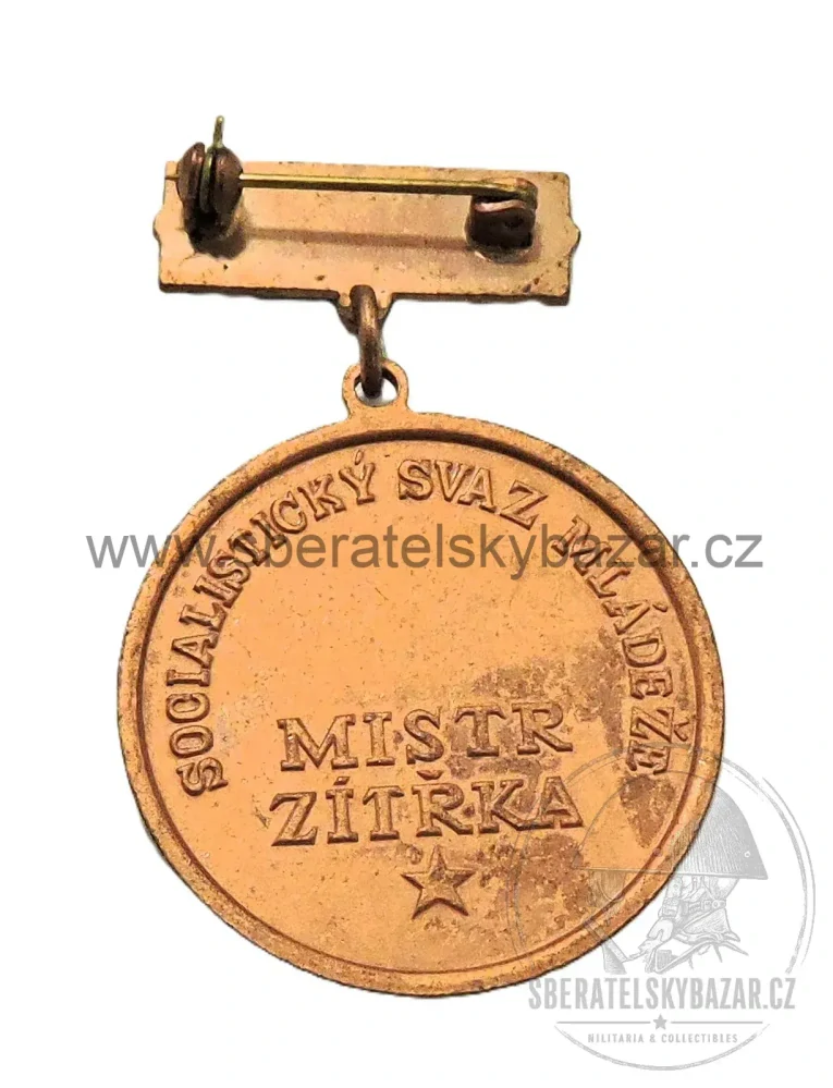 Odznak Mistr zítřka