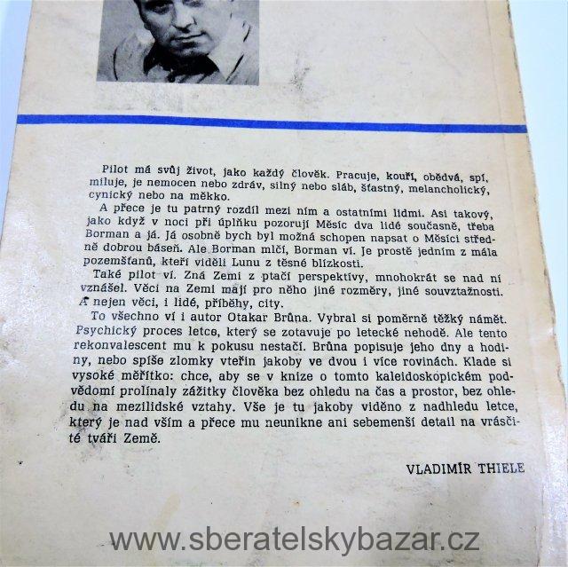 Modrá barva chrpy