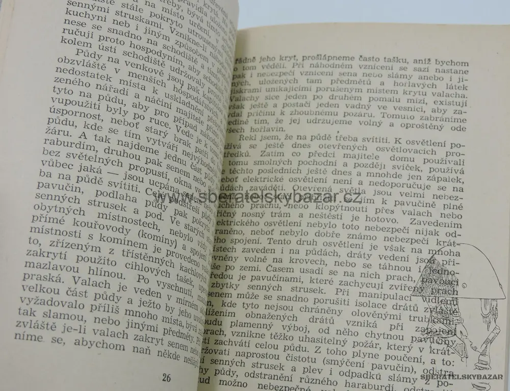 Preventivní ochrana 1946