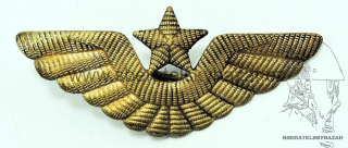 Čepicový odznak ČSLA letecký - Mořený
