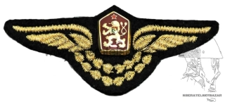 Čepicový odznak - Letka MV 