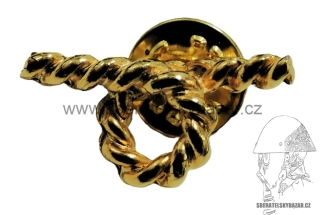 Odznak pin 