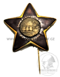 Odznak Partizánská brigáda A.S.Jegerova 