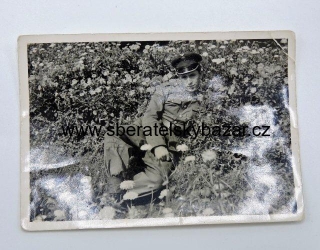 Fotografie PLR
