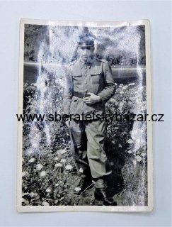 Fotografie PLR