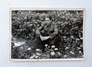 Fotografie PLR