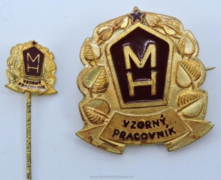 Vzorný pracovník MH (Místního hospodářství)