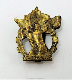 Tyršuv odznak zdatnosti - miniatura patka