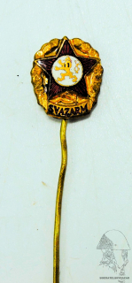Odznak svazarm