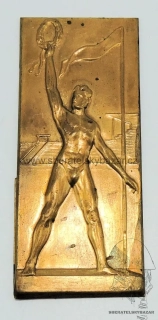 Sportovní plaketa 